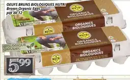 Supermarché PA BRUNS BIOLOGIQUES NUTRI | Brown Organic Eggs offer