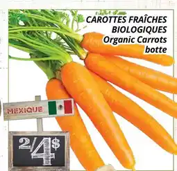 Supermarché PA CAROTTES FRAÎCHES BIOLOGIQUES | Organic Carrots botte offer