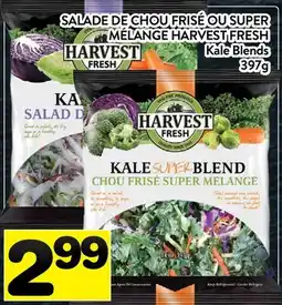 Supermarché PA SALADE DE CHOU FRISÉ OU SUPER MÉLANGE HARVEST FRESH | Kale Blends offer
