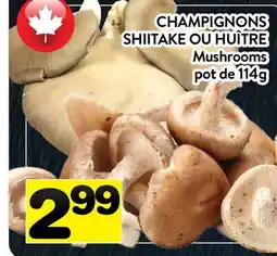 Supermarché PA CHAMPIGNONS SHIITAKE OU HUÎTRE | Mushrooms offer