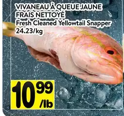Supermarché PA VIVANEAU À QUEUE JAUNE FRAIS NETTOYÉ | Fresh Cleaned Yellowtail Snapper offer
