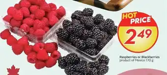 Raspberries or Blackberries