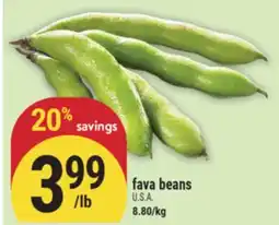Marché Adonis Fava beans offer