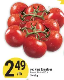 Marché Adonis red vine tomatoes offer
