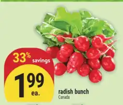Marché Adonis Radish bunch offer