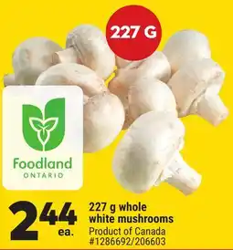 Giant Tiger 227 g whole white mushrooms offer