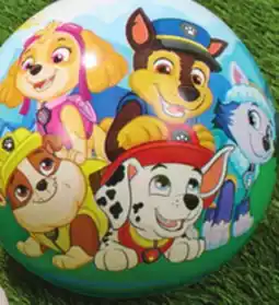 Giant Tiger sports balls offer