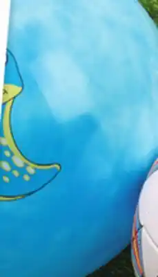 Giant Tiger sports balls offer