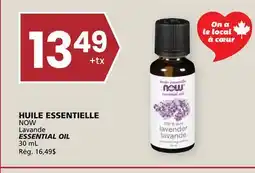 Rachelle-Bery Grocery NOW Lavande ESSENTIAL OIL offer