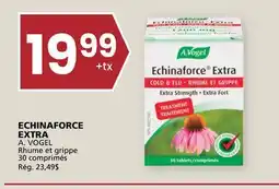 Rachelle-Bery Grocery ECHINAFORCE EXTRA A offer