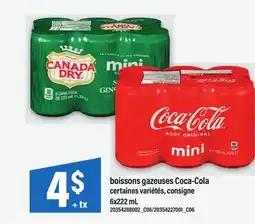 Maxi BOISSONS GAZEUSES COCA-COLA offer