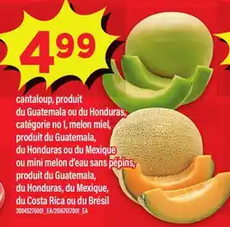 Maxi CANTALOUP, MELON MIEL, OU MINI MELON D'EAU SANS PÉPINS offer