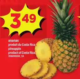 Maxi ANANAS | PINEAPPLE offer