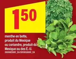 Maxi MENTHE EN BOTTE, OU CORIANDRE offer