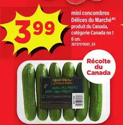 Maxi MINI CONCOMBRES DÉLICES DU MARCHÉ, 6 UN offer