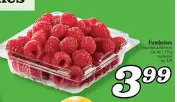 Marché Richelieu FRAMBOISES | RASPBERRIES offer