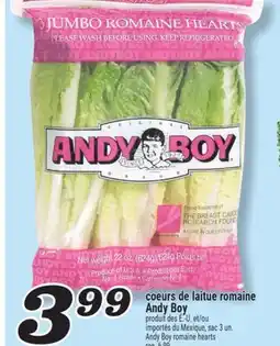 Marché Richelieu COEURS DE LAITUE ROMAINE ANDY BOY | ANDY BOY ROMAINE HEARTS offer
