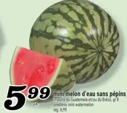 Marché Richelieu MINI MELON D'EAU SANS PÉPINS | SEEDLESS MINI WATERMELON offer