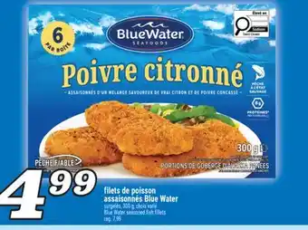 Marché Richelieu FILETS DE POISSON ASSAISONNÉS BLUE WATER | BLUE WATER SEASONED FISH FILLETS offer