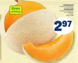 Marché Bonichoix CANTALOUP offer