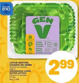 Marché Bonichoix GEN V GREENHOUSE LIVING BUTTER LETTUCE offer