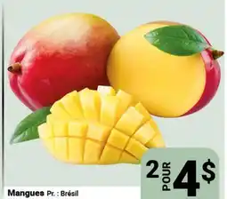 Pasquier Mangues offer