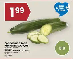 Rachelle-Bery Grocery ORGANIC SEEDLESS CUCUMBER offer