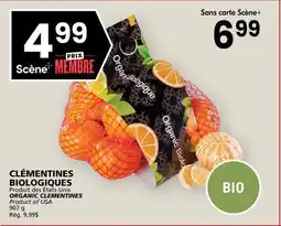 Rachelle-Bery Grocery ORGANIC CLEMENTINES offer