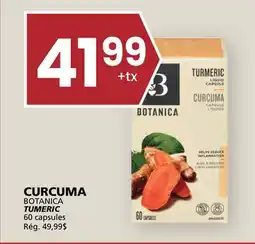 Rachelle-Bery Grocery BOTANICA TUMERIC offer