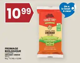 Rachelle-Bery Grocery L'ANCÊTRE ORGANIC CHEESE offer