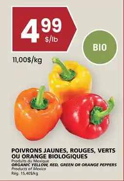 Rachelle-Bery Grocery ORGANIC YELLOW, RED, GREEN OR ORANGE PEPPERS offer
