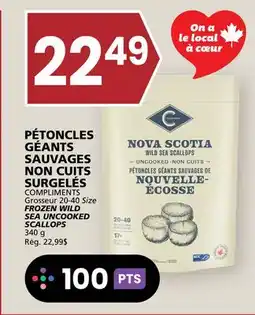 Rachelle-Bery Grocery COMPLIMENTS FROZEN WILD SEA UNCOOKED SCALLOPS offer