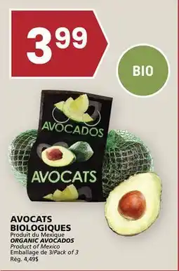 Rachelle-Bery Grocery ORGANIC AVOCADOS offer