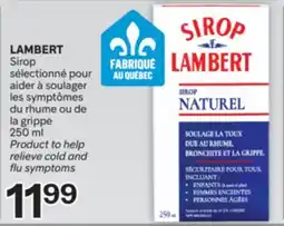 Brunet LAMBERT Sirop sélectionné pour aider à soulager les symptômes du rhume ou de la grippe offer