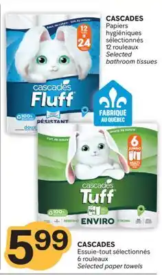 Brunet CASCADES Essuie-tout sélectionnés offer