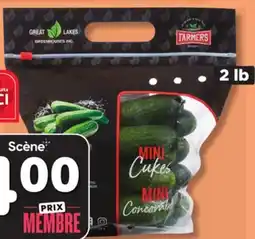 Marches Tradition SEEDLESS MINI CUCUMBERS offer
