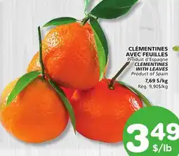 Marches Tradition CLEMENTINES WITH LEAVES offer