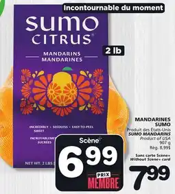 Marches Tradition SUMO MANDARINS offer