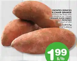 Marches Tradition ORANGE FLESH SWEET POTATOES offer