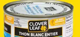 Giant Tiger Clover Leaf canned tuna or salmon offer