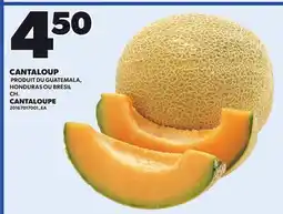Provigo CANTALOUPE offer