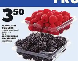 Provigo FRAMBOISES OU MÛRES offer