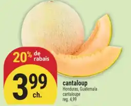 Marché Adonis cantaloup | cantaloupe offer