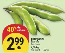Marché Adonis GOURGANES | FAVA BEANS offer