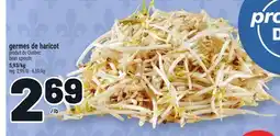 Metro GERMES DE HARICOT | BEAN SPROUTS offer