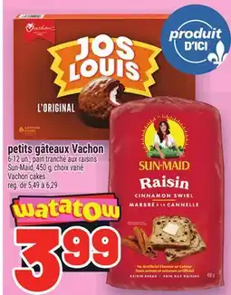 Metro PETITS GÂTEAUX VACHON | VACHON CAKES offer