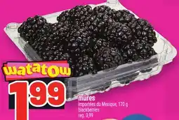 Metro MÛRES | BLACKBERRIES offer