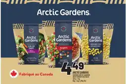 Metro ARCTIC GARDENS | ARCTIC GARDENS VEGETABLES offer