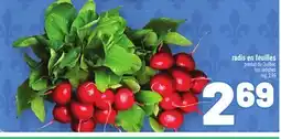 Metro RADIS EN FEUILLES | TOP RADISHES offer