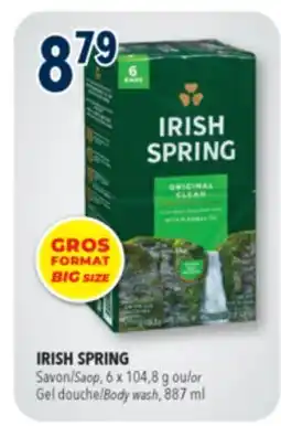 Familiprix IRISH SPRING, Saop, 6 x 104,8 g or Gel Body wash, 887 ml offer